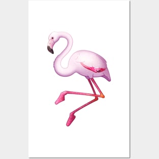 Cozy Flamingo Posters and Art